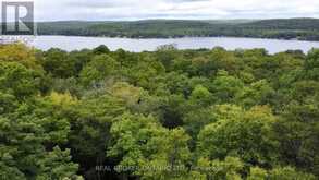 N/A FADER DRIVE | Algonquin Highlands Ontario | Slide Image Two
