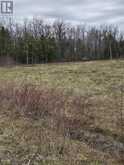 5496 FAIRVALLEY ROAD, RAMARA ROAD | Ramara Ontario | Slide Image Eight