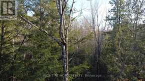 2263 MACHAR STRONG BOUNDRY ROAD | Sundridge Ontario | Slide Image Three