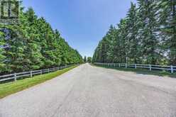 5977 13TH LINE | New Tecumseth Ontario | Slide Image Four