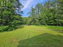 3878 CAMBRIAN ROAD | Washago Ontario | Slide Image Five