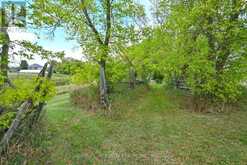 995305 MONO ADJALA TOWNLINE | Alliston Ontario | Slide Image Thirty-seven