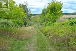 995305 MONO ADJALA TOWNLINE | Alliston Ontario | Slide Image Forty