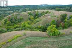 995305 MONO ADJALA TOWNLINE | Alliston Ontario | Slide Image Forty-two