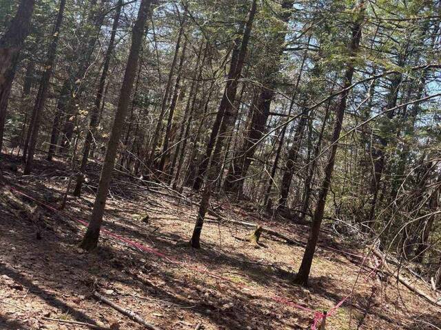 0 KIRKPATRICK LANE Bracebridge Ontario, P1L 1X3 - Vacant Land For Sale