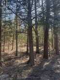 0 KIRKPATRICK LANE | Bracebridge Ontario | Slide Image Thirteen