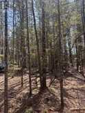 0 KIRKPATRICK LANE | Bracebridge Ontario | Slide Image Three