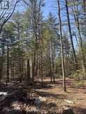 0 KIRKPATRICK LANE | Bracebridge Ontario | Slide Image Five