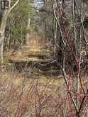 164 RIDING STABLE ROAD | West Nipissing Ontario | Slide Image Four