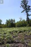 164 RIDING STABLE ROAD | West Nipissing Ontario | Slide Image Six