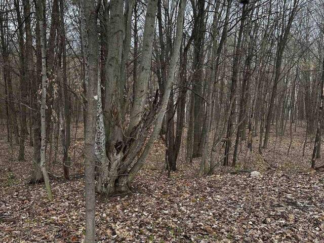 224 CHURCH STREET Penetanguishene Ontario, L9M 1G6 - Vacant Land For Sale