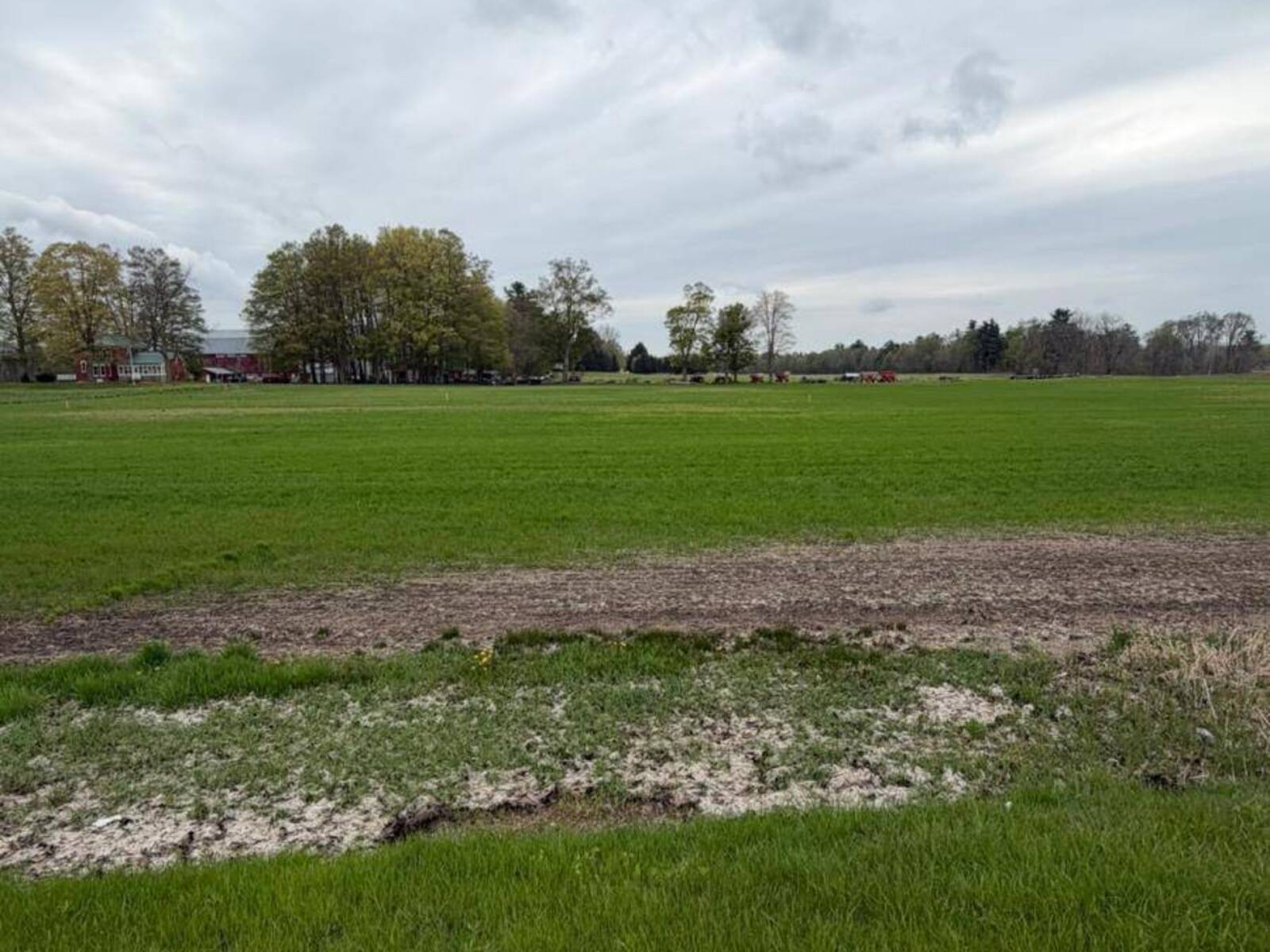 LOT B - 4929 HIGHWAY 59, Courtland, Ontario N0J 1E0