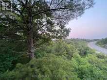 1874 HIGHWAY 11 N | Gravenhurst Ontario | Slide Image Eight