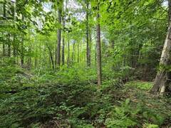 000 CEDAR SANDS ROAD Leeds and the Thousand Islands Ontario, K0E 1N0