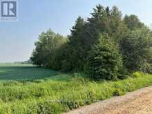 034541 SIDEROAD 21-22 | Grand Valley Ontario | Slide Image Five
