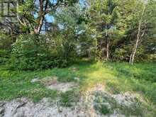 034541 SIDEROAD 21-22 | Grand Valley Ontario | Slide Image Seven