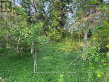 034541 SIDEROAD 21-22 | Grand Valley Ontario | Slide Image Nine
