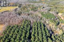 9328 WELLINGTON RD 50 ROAD | Erin Ontario | Slide Image Nine