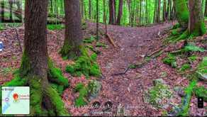 2821 12TH LINE E | Marmora Ontario | Slide Image Three
