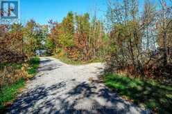 4 & 9 FIRE ROUTE 66D LANE N | Trent Lakes Ontario | Slide Image Thirty-six