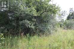 376 HIGHWAY 15 | Smiths Falls Ontario | Slide Image Two
