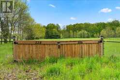 328 ROCKIES ROAD | Tweed Ontario | Slide Image Eight