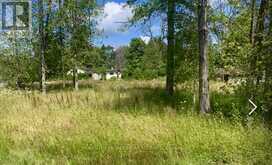 0 SYMOND AVENUE | Oro-Medonte Ontario | Slide Image Two