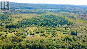 253 CRAIG SIDE ROAD | Oro-Medonte Ontario | Slide Image Fifteen