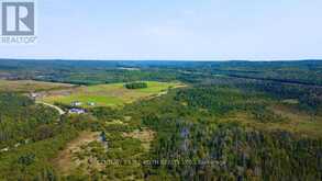 253 CRAIG SIDE ROAD | Oro-Medonte Ontario | Slide Image Twenty-one