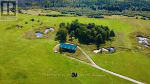 253 CRAIG SIDE ROAD | Oro-Medonte Ontario | Slide Image Six