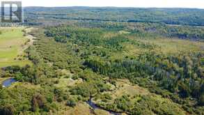 253 CRAIG SIDE ROAD | Oro-Medonte Ontario | Slide Image Sixteen