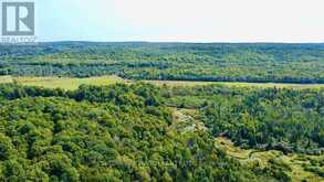 253 CRAIG SIDE ROAD | Oro-Medonte Ontario | Slide Image Thirty-one