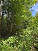 1791 ALSACE ROAD | Powassan Ontario | Slide Image Twelve