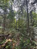 1791 ALSACE ROAD | Powassan Ontario | Slide Image Four