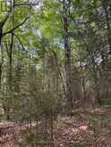 1791 ALSACE ROAD | Powassan Ontario | Slide Image Seven