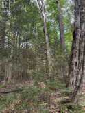 1791 ALSACE ROAD | Powassan Ontario | Slide Image Eight