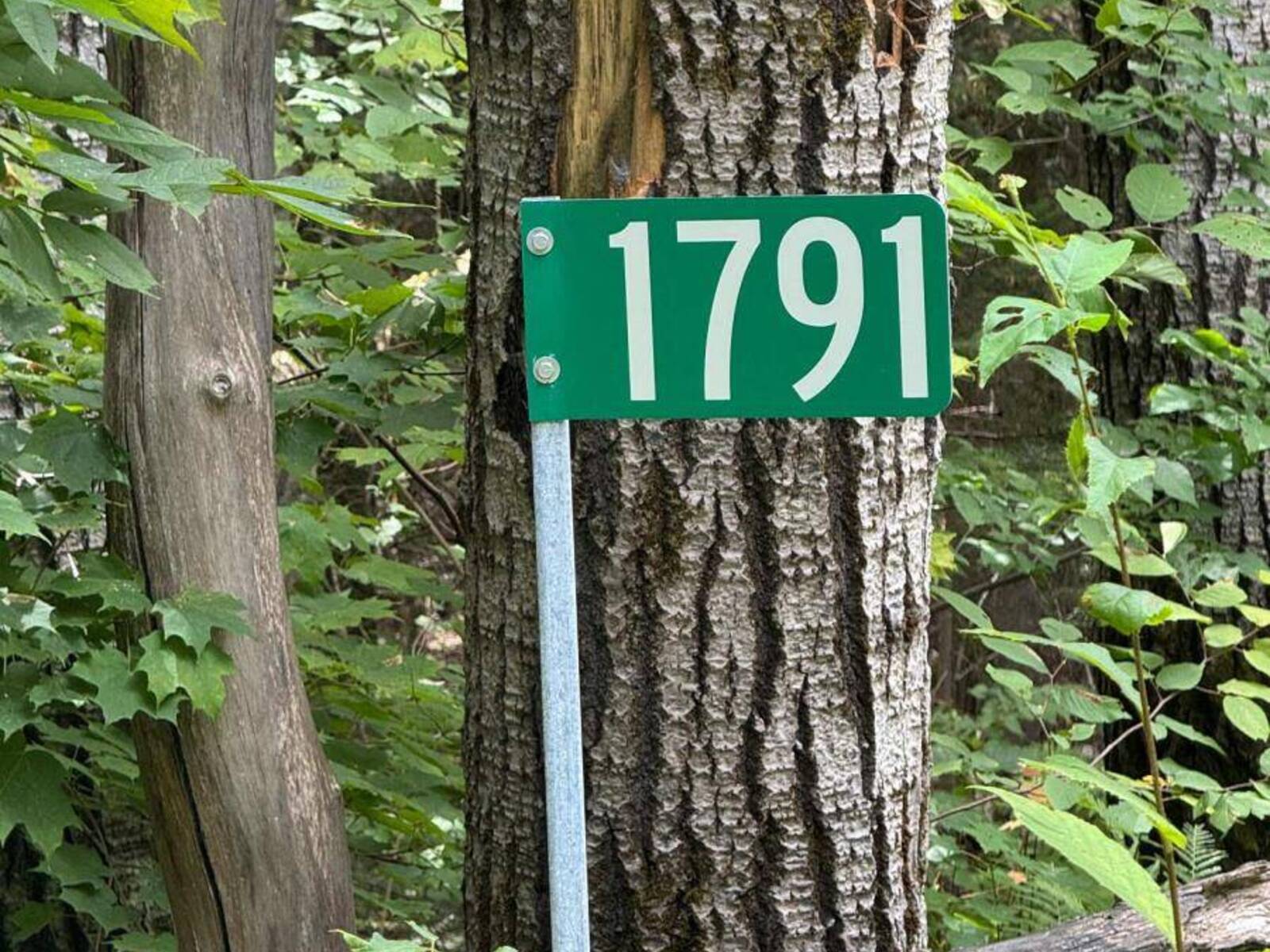 1791 ALSACE ROAD, Powassan, Ontario P0H 1Z0