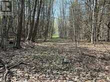 92 BESSIE AVENUE N | Bobcaygeon Ontario | Slide Image Ten