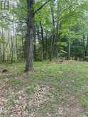 3460 HARBURN ROAD | Dysart et al Ontario | Slide Image One