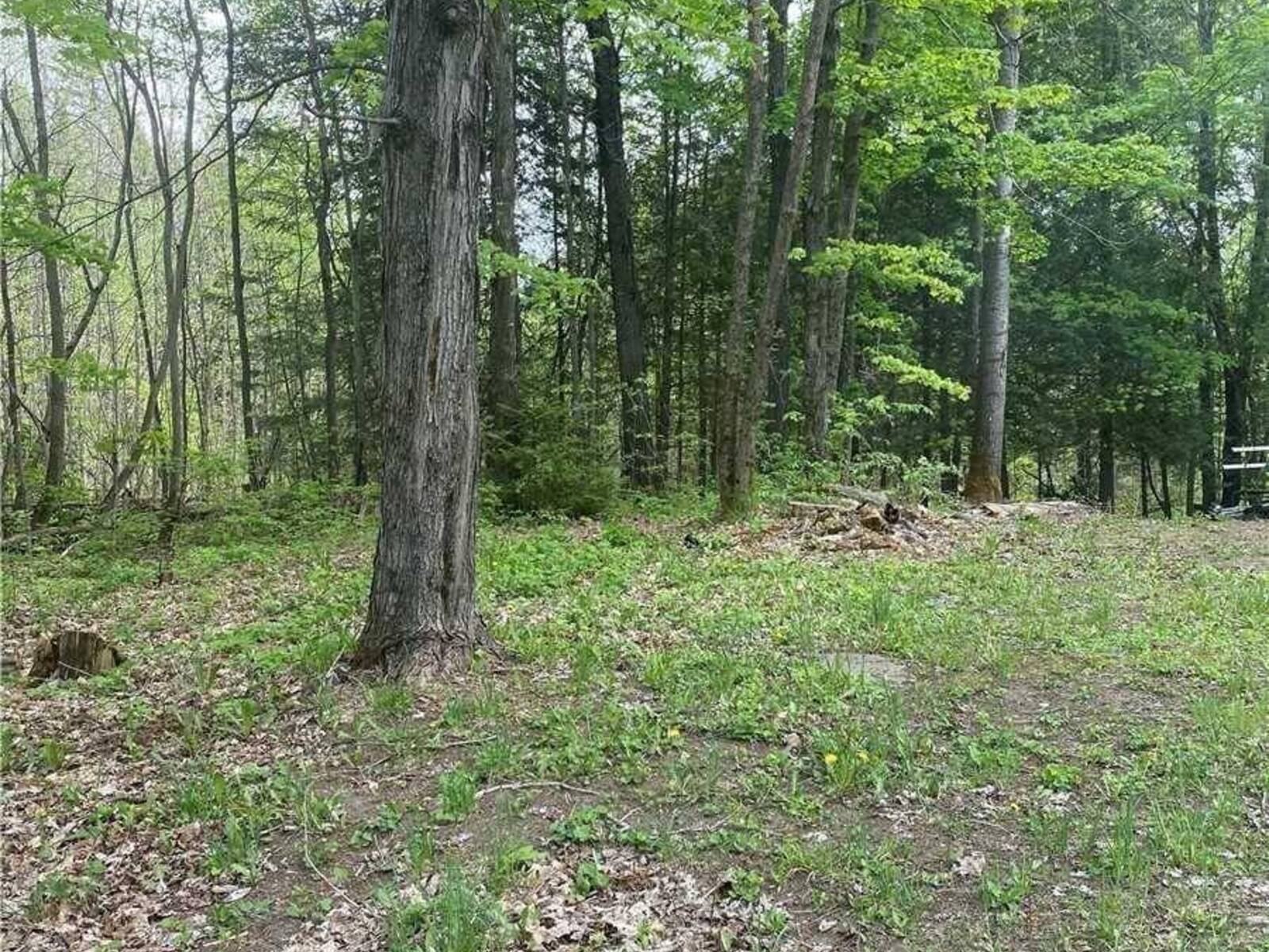 3460 HARBURN ROAD, Dysart et al, Ontario K0M 1M0