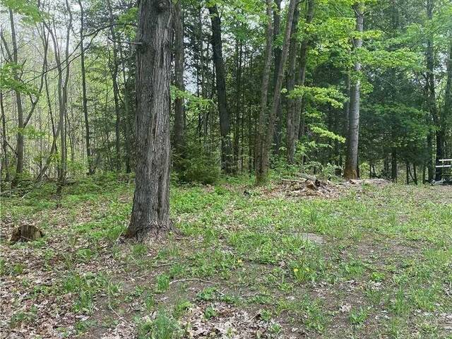3460 HARBURN ROAD Dysart et al Ontario, K0M 1M0 - 2 Bedrooms Home For Sale