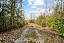 2000 COUNTY ROAD 620 DRIVE | Apsley Ontario | Slide Image Seventeen