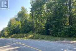 0 POINT IDEAL ROAD | Dwight Ontario | Slide Image Four