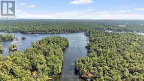 7206 SEVERN RIVER SHORE | Muskoka Lakes Ontario | Slide Image Forty-one