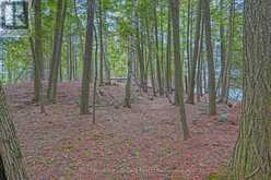 909 ASHBY LAKE WA | Addington Highlands Ontario | Slide Image Nineteen