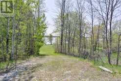 3447 MCCLELLAND ROAD | Washago Ontario | Slide Image Three