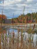 23 - 1007 RACOON ROAD | Gravenhurst Ontario | Slide Image Thirty-eight