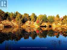 23 - 1007 RACOON ROAD | Gravenhurst Ontario | Slide Image Thirty-nine