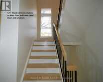 59 CHERYL SHEPWAY | Toronto Ontario | Slide Image Twenty-three