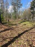 LOT 12 STANLEY ROAD | Kawartha Lakes Ontario | Slide Image Ten
